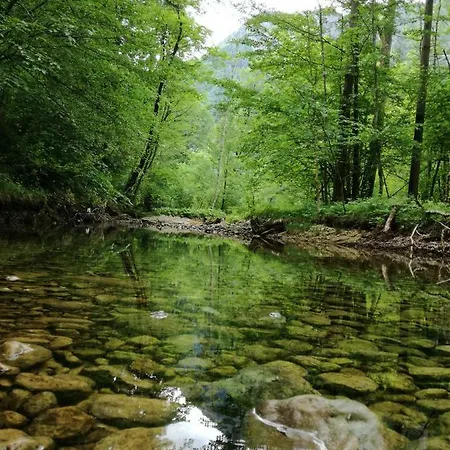 Apartament Haus Seebach