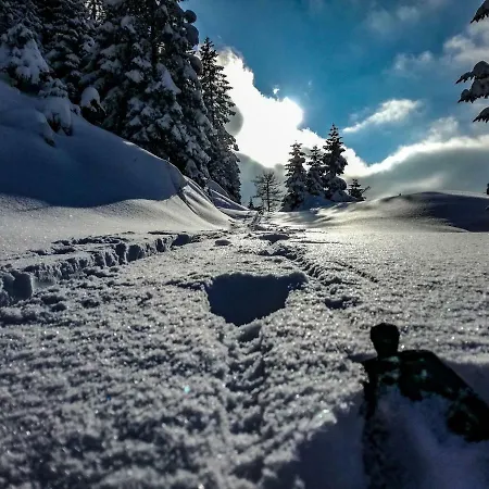 Haus Seebach Lunz am See