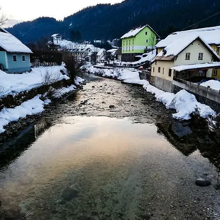 Apartment Haus Seebach Lunz am See